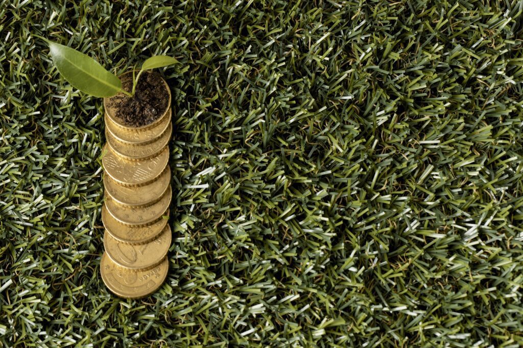 Taxa de Controle e Fiscalização Ambiental (TCFA) sustentabilidade, natureza, meio ambiete, moeda