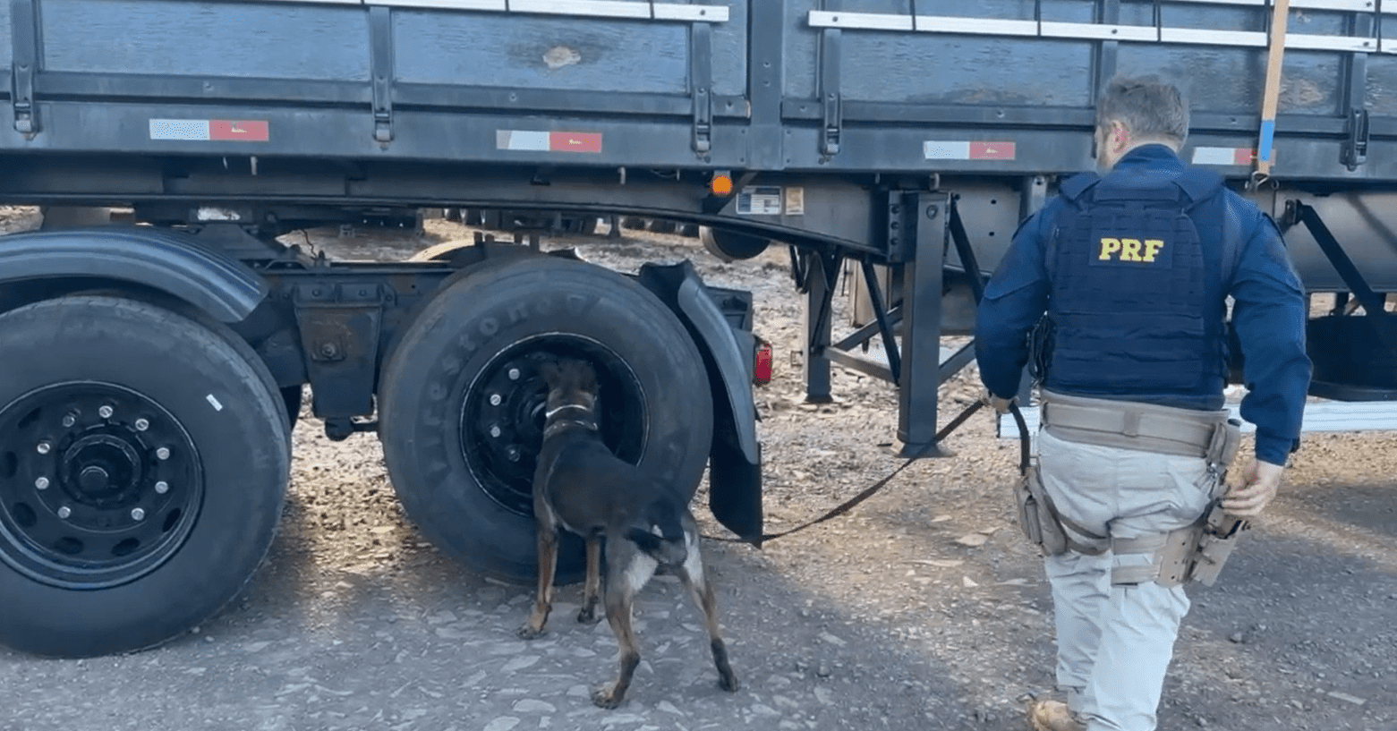 meia tonelada de maconha escondida em pneus de carreta na BR-153 em Irani 
Foto: PRF