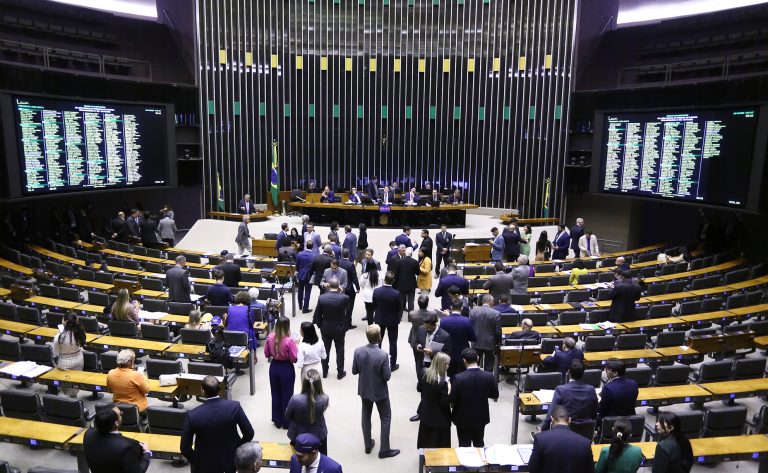 Plenário da Câmara dos Deputados. Brasília. Foto: Vinicius Loures/Câmara dos Deputados